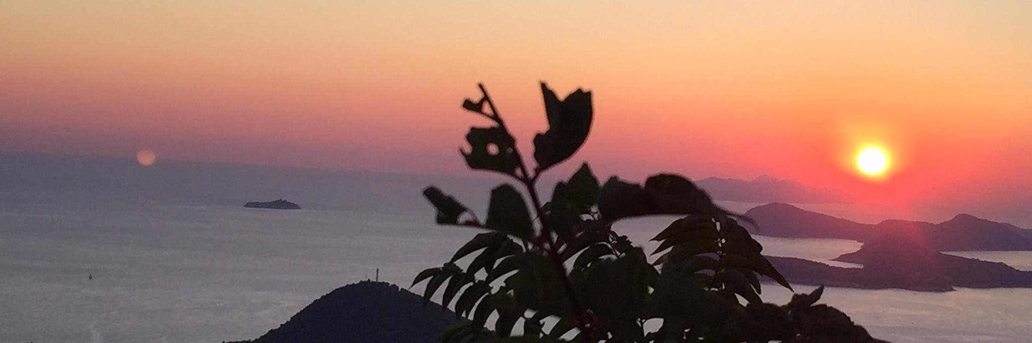 Sarah Element banner