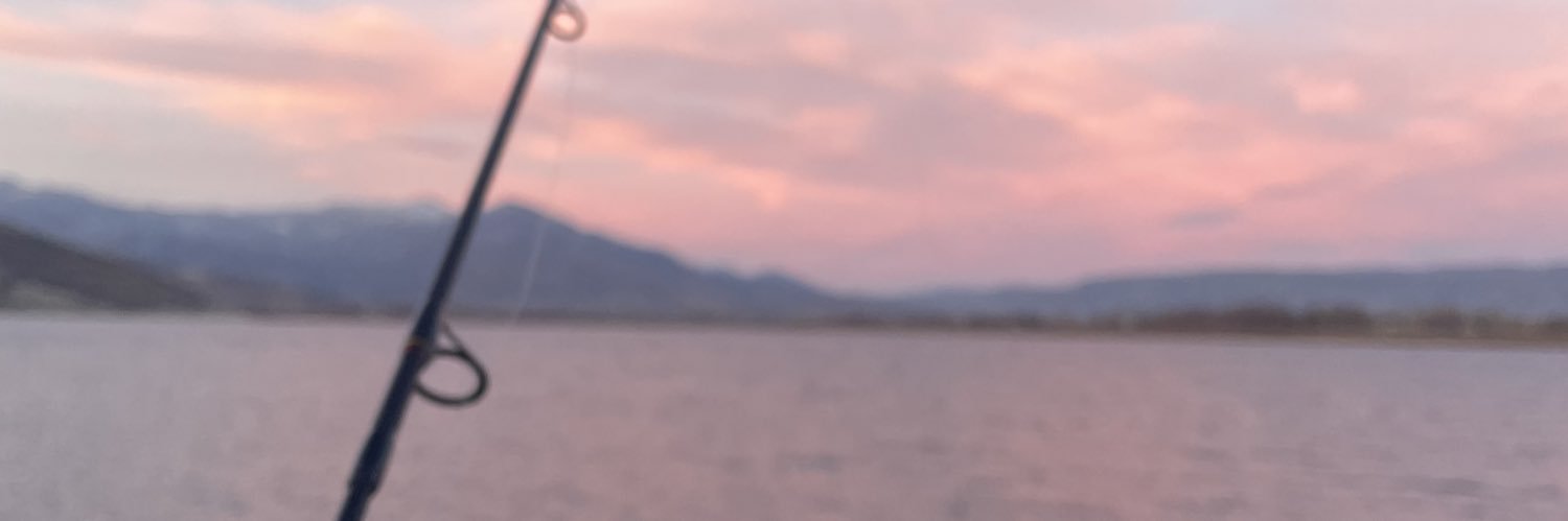 Dana G banner
