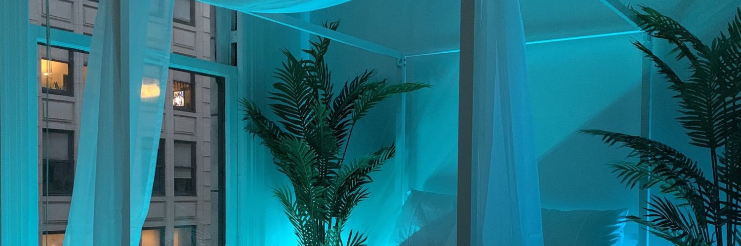 souelectric's profile banner image