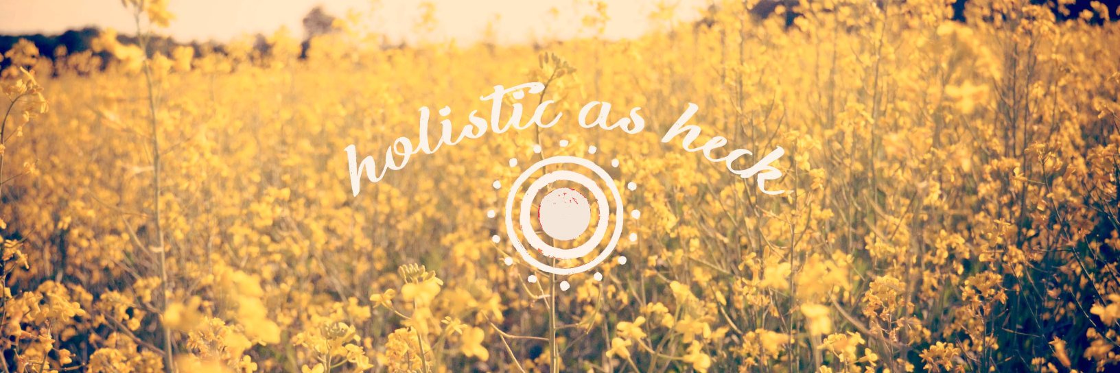 HolisticAsHeck's profile banner image