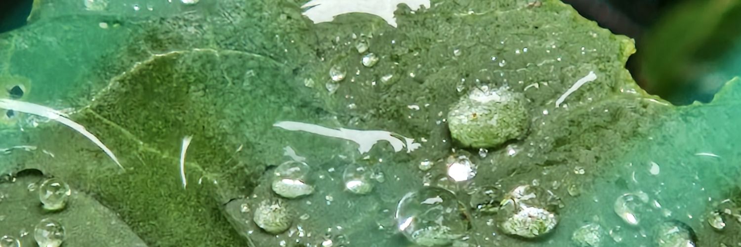 MrStrawbsJam's profile banner image
