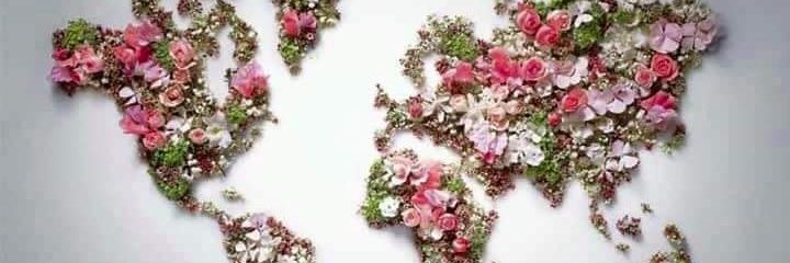 fafOoJ's profile banner image