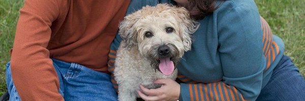 gschimek Profile Banner