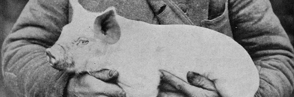 JoelFredin's profile banner image