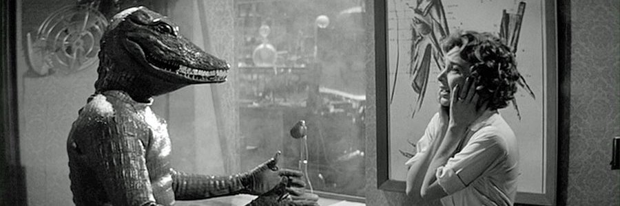 Red Alligator banner