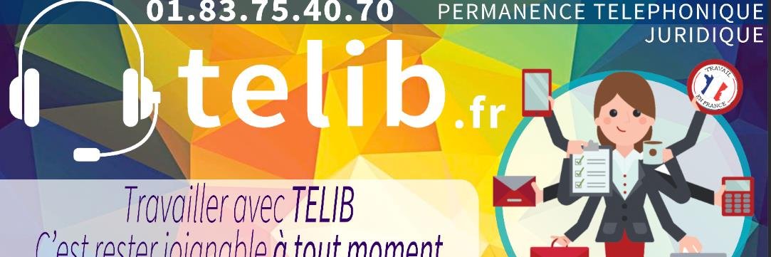 PermanenceTelib's profile banner image
