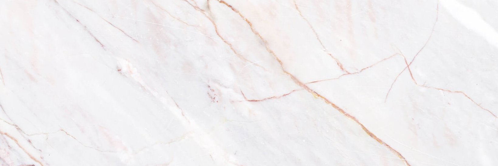 vickyviamonte's profile banner image