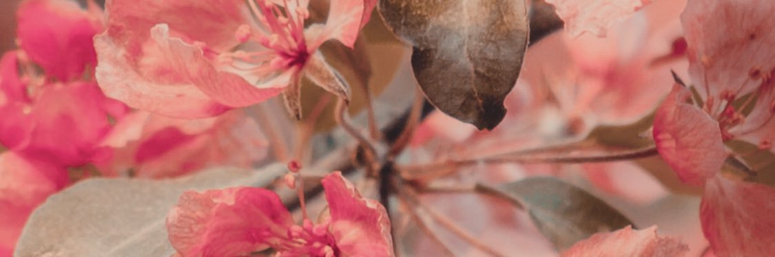 GoniEmi's profile banner image
