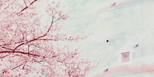1211moa_misa's profile banner image