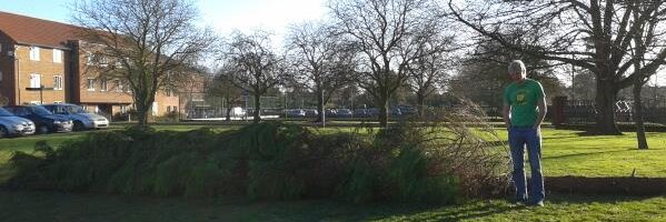 Layy94 Profile Banner