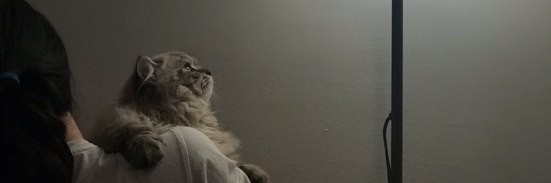 Jpequod's profile banner image