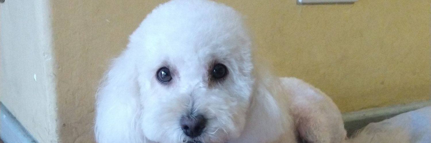 norajudith's profile banner image