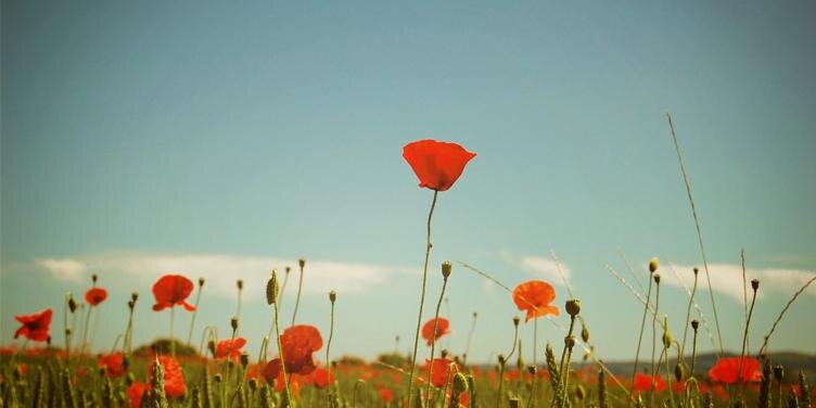 jernejak's profile banner image