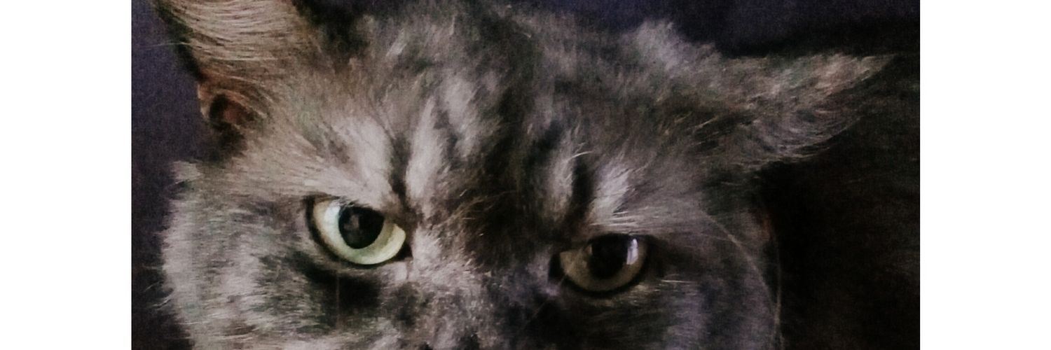 adndpw_'s profile banner image