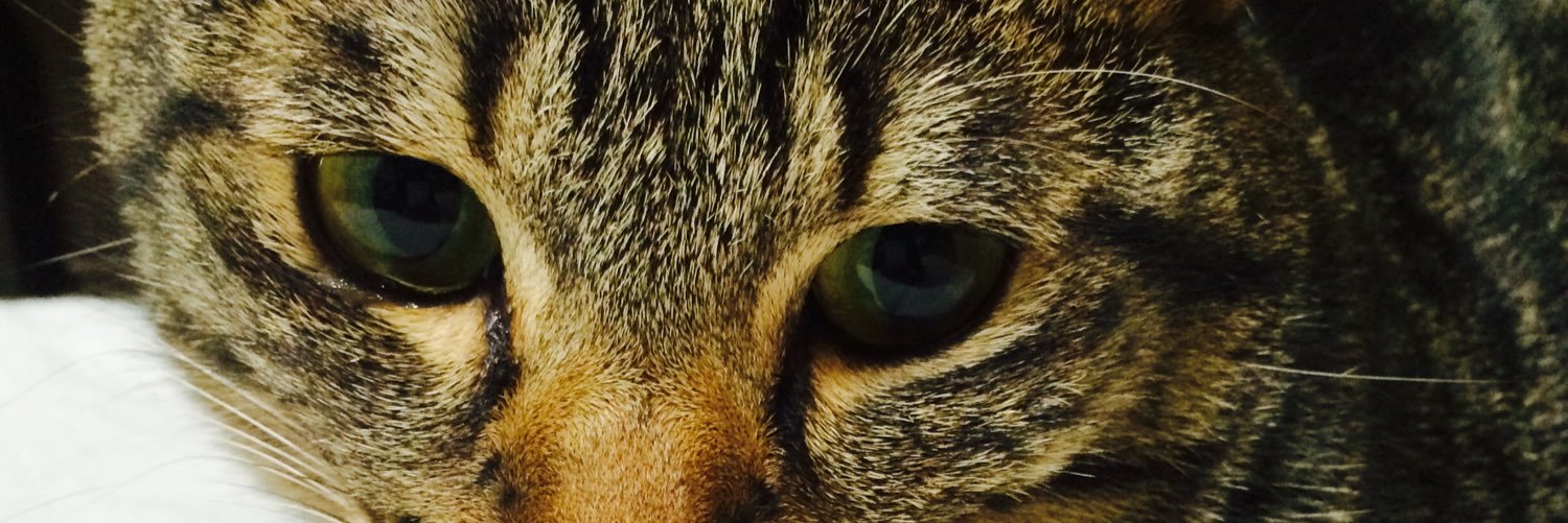 cubismena's profile banner image