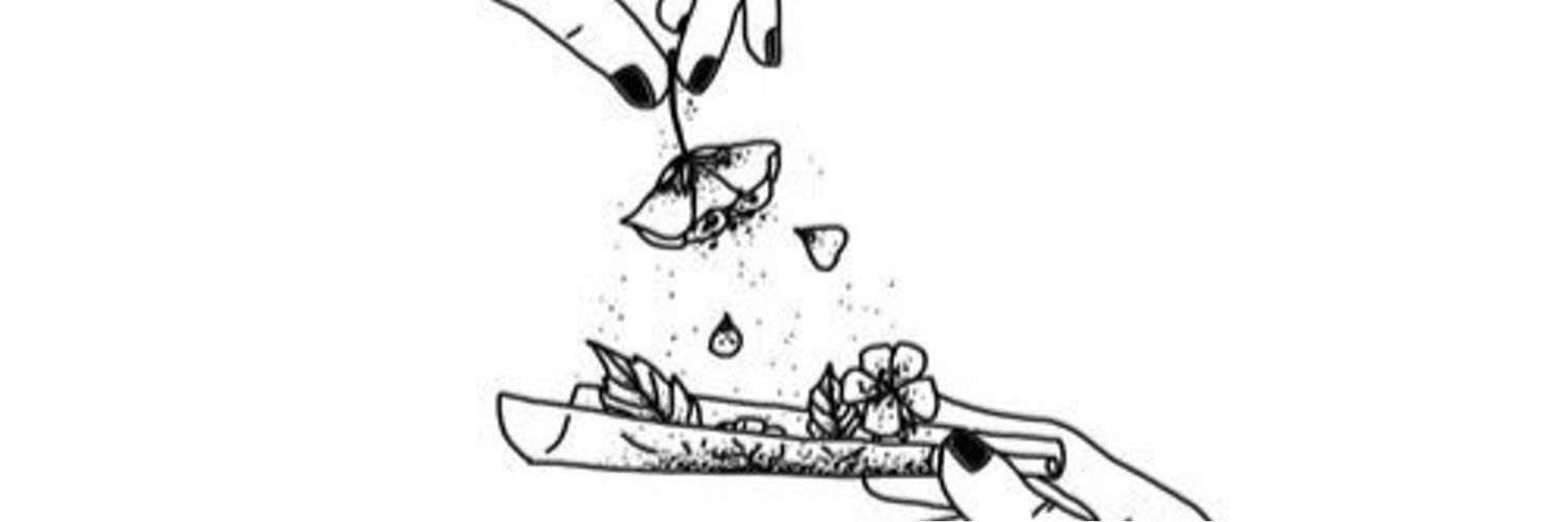 cheezwolf's profile banner image