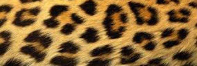 KAAYY_PEEE's profile banner image