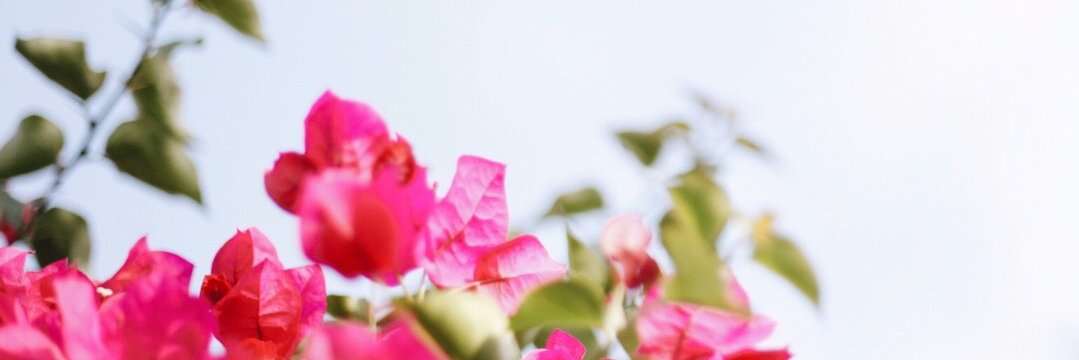 JessicaEHowell's profile banner image