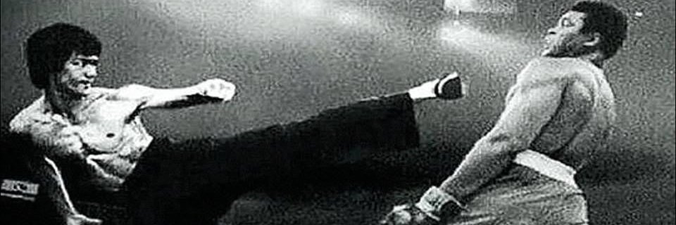 Vicompt's profile banner image
