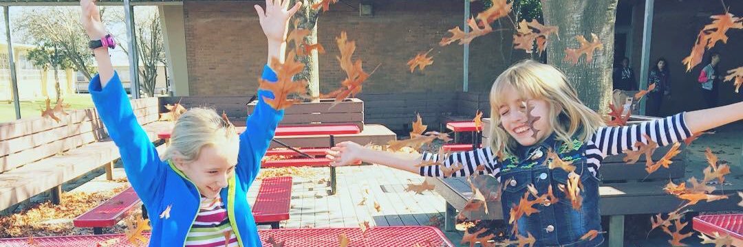 Ashley Chohlis banner