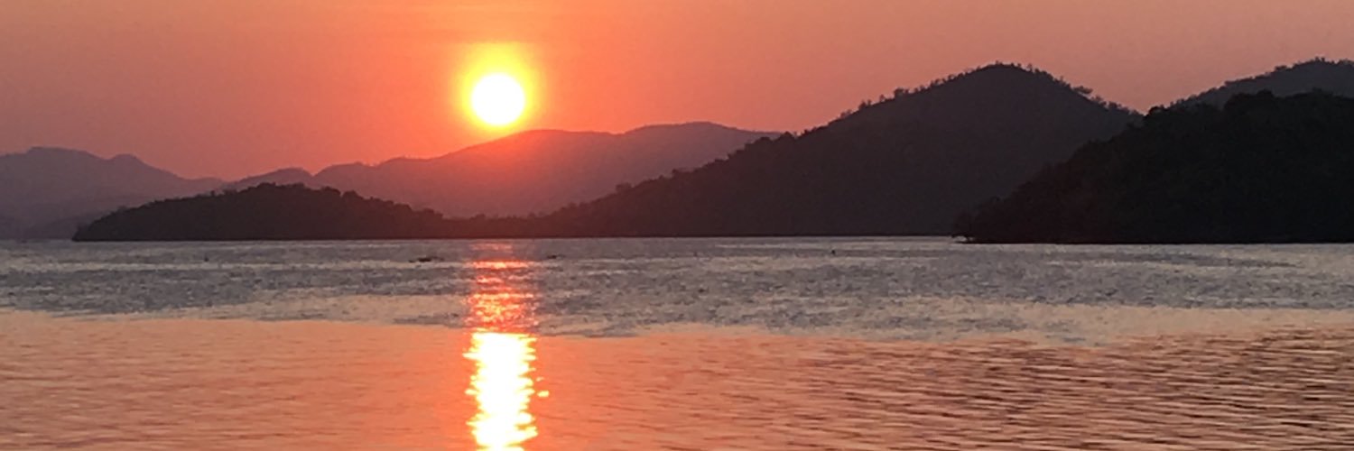 bearthatwasnt's profile banner image