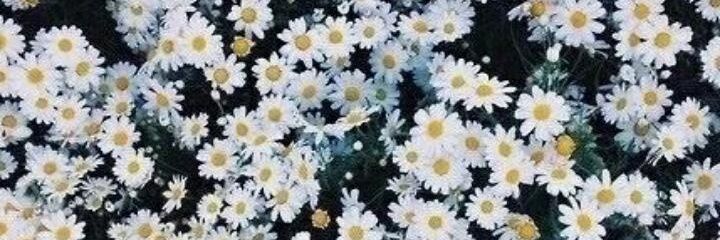 Tamara_285's profile banner image