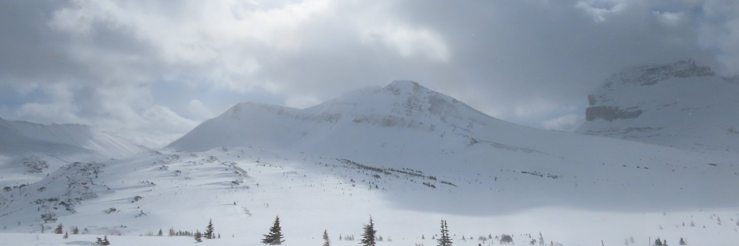 BrianMacDermid's profile banner image