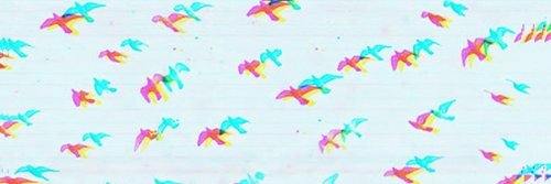 LauraaFolch's profile banner image