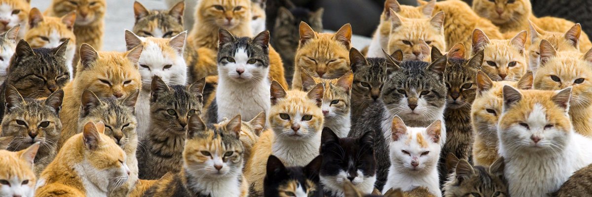 jshmsh's profile banner image