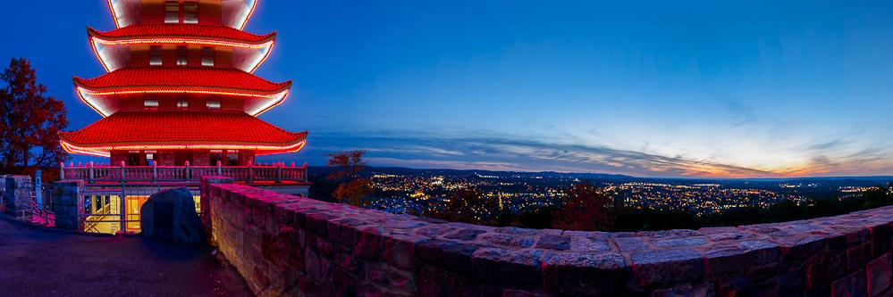 Reading D.I.D. banner