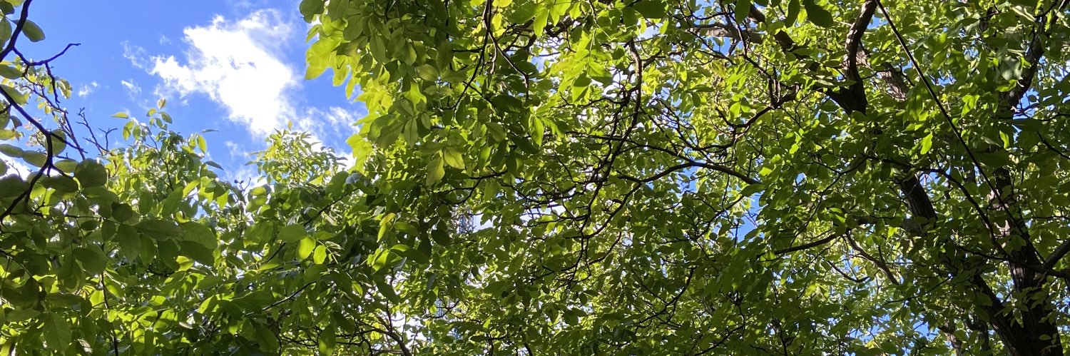 Bernhard Seitz banner