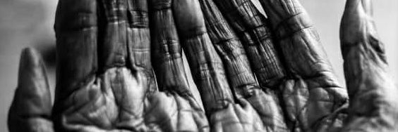 fadyoussouf's profile banner image