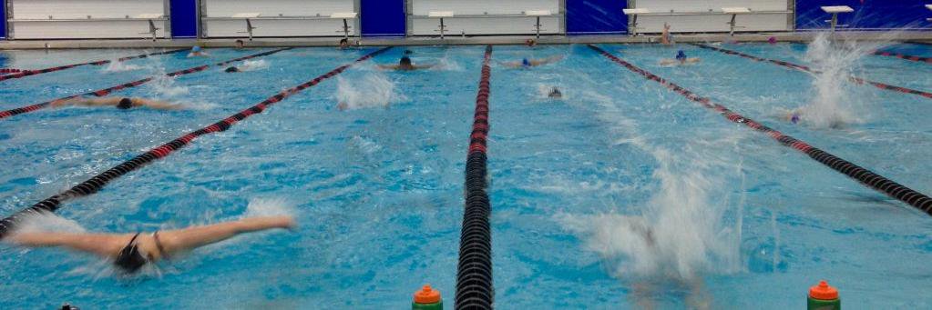 SeaDogSwimClub's profile banner image