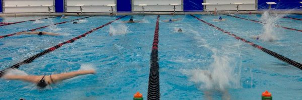 Sea Dog Swim Club Profile Banner