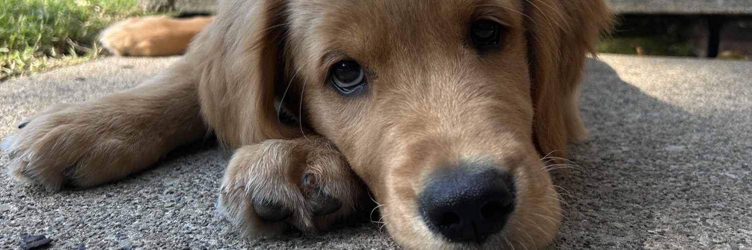 ashleylinke's profile banner image
