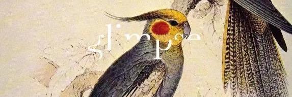 GLIMPSE_MUSIC's profile banner image