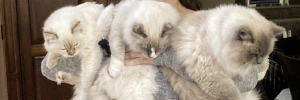 drsaricooper Profile Banner