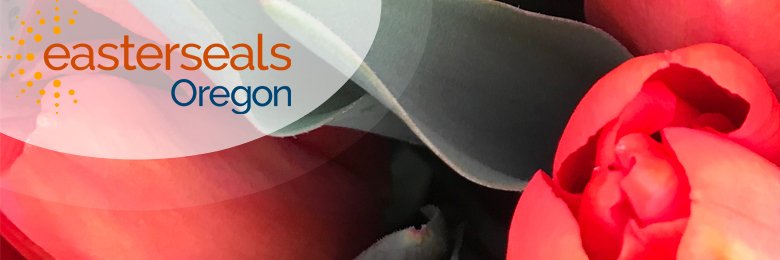 EasterSealsOr's profile banner image