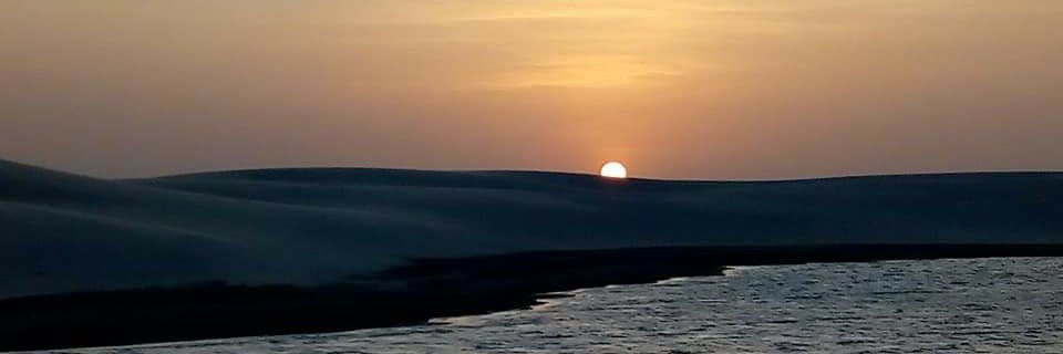 regiarav's profile banner image
