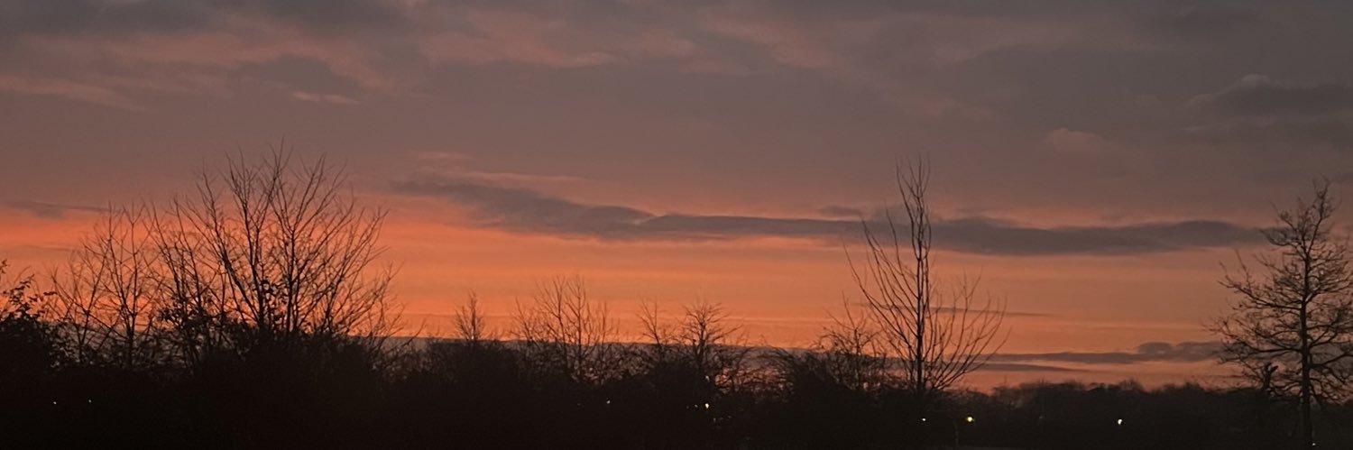 lis_letti's profile banner image
