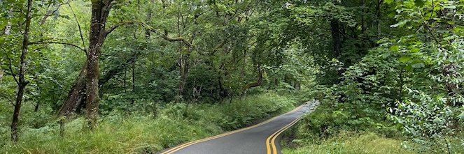 German Barquero banner