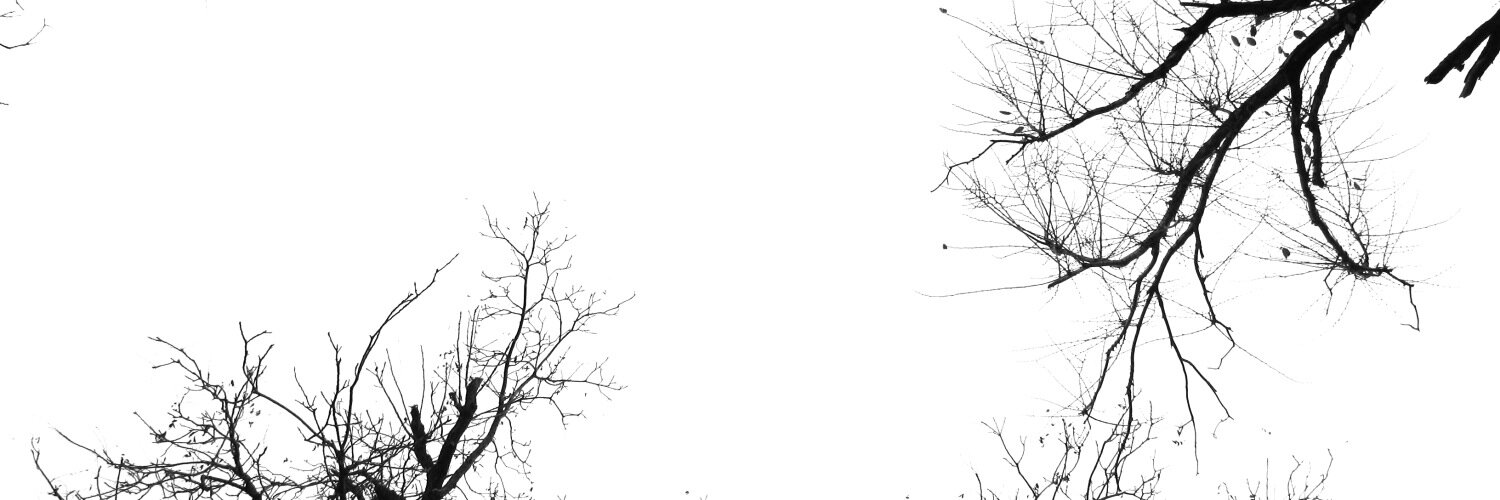 onanieCEO's profile banner image