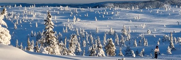 TorsteinEriksen Profile Banner