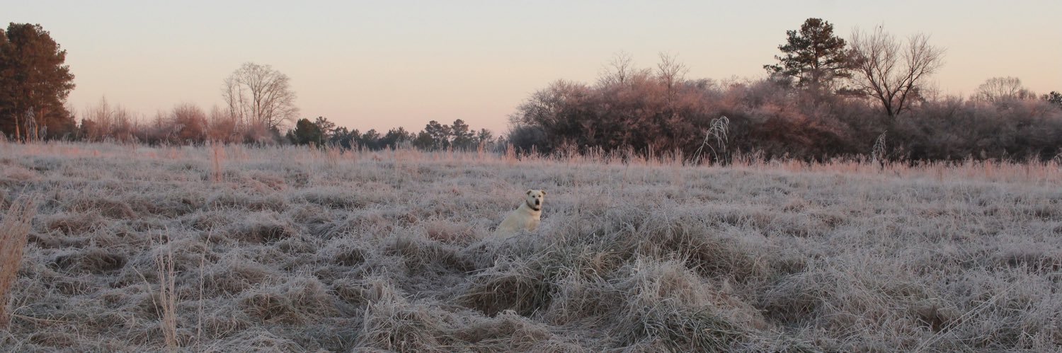 EmaMaee's profile banner image