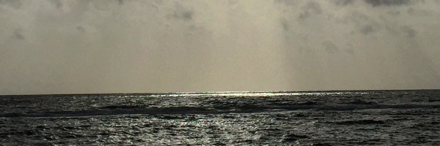 iumairi's profile banner image