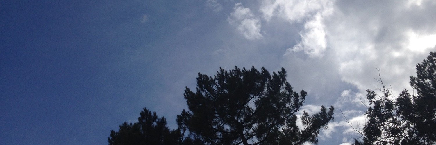 Lea_Neuilly's profile banner image