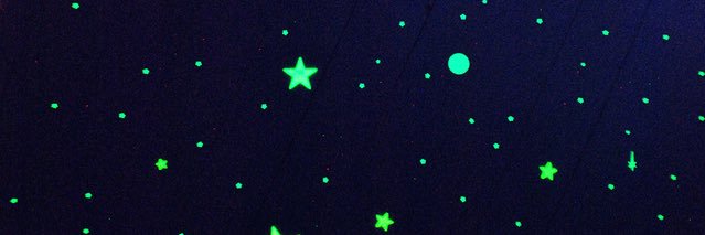Timothée Chalamet's banner