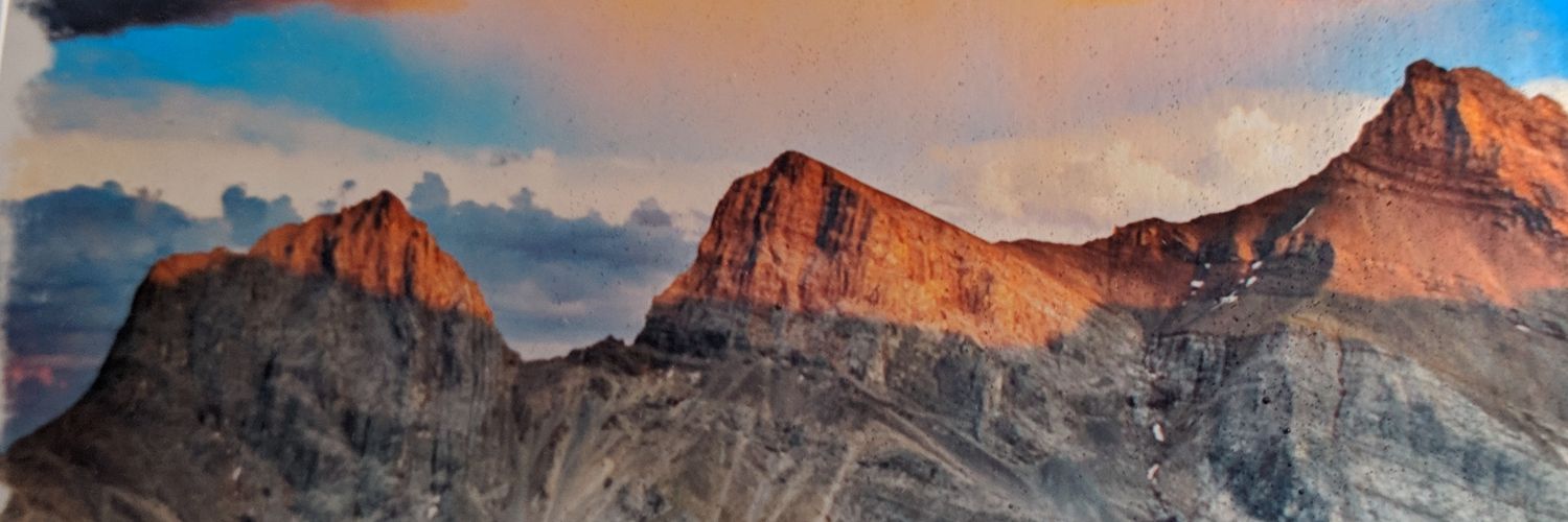 Dr Sharon Walker banner