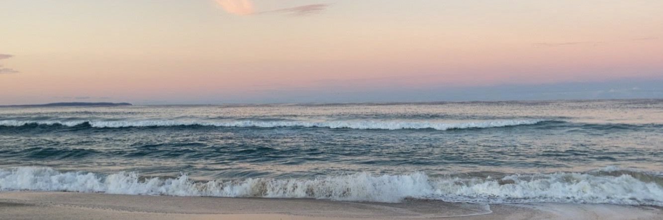 MorgannnNicolee's profile banner image