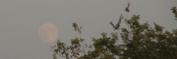 Paulii_mp's profile banner image